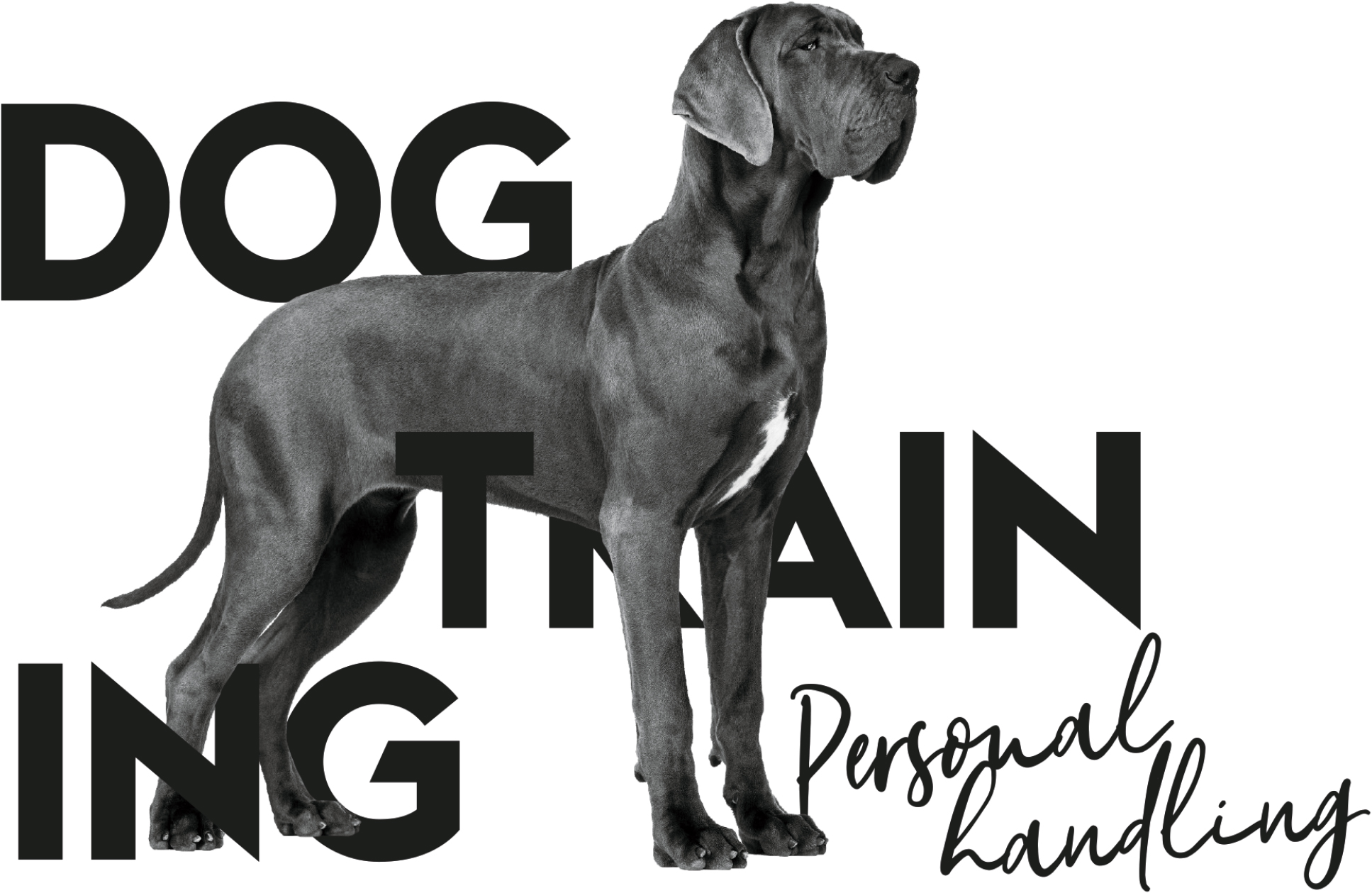 Dog-Training